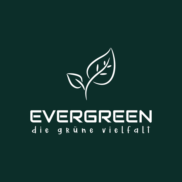 Evergreen
