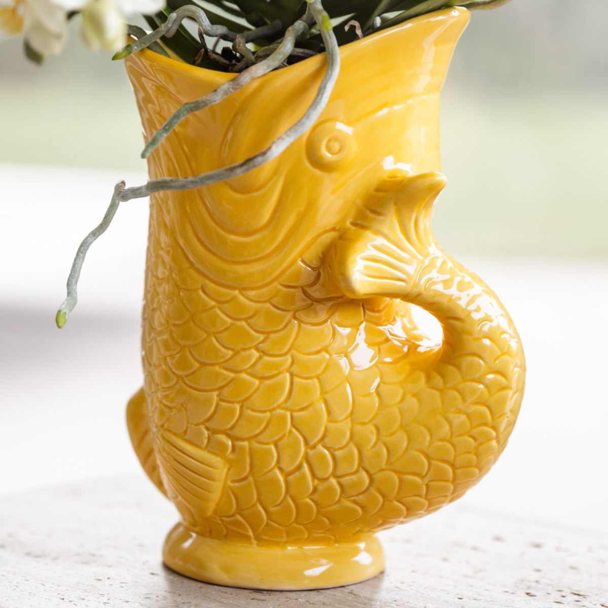 Kolibri Company | Geschenkset Mediterranean Sunset | Pflanzenset mit weißer Phalaenopsis Orchidee Lausanne und Sukkulenten inkl. Keramiktöpfen