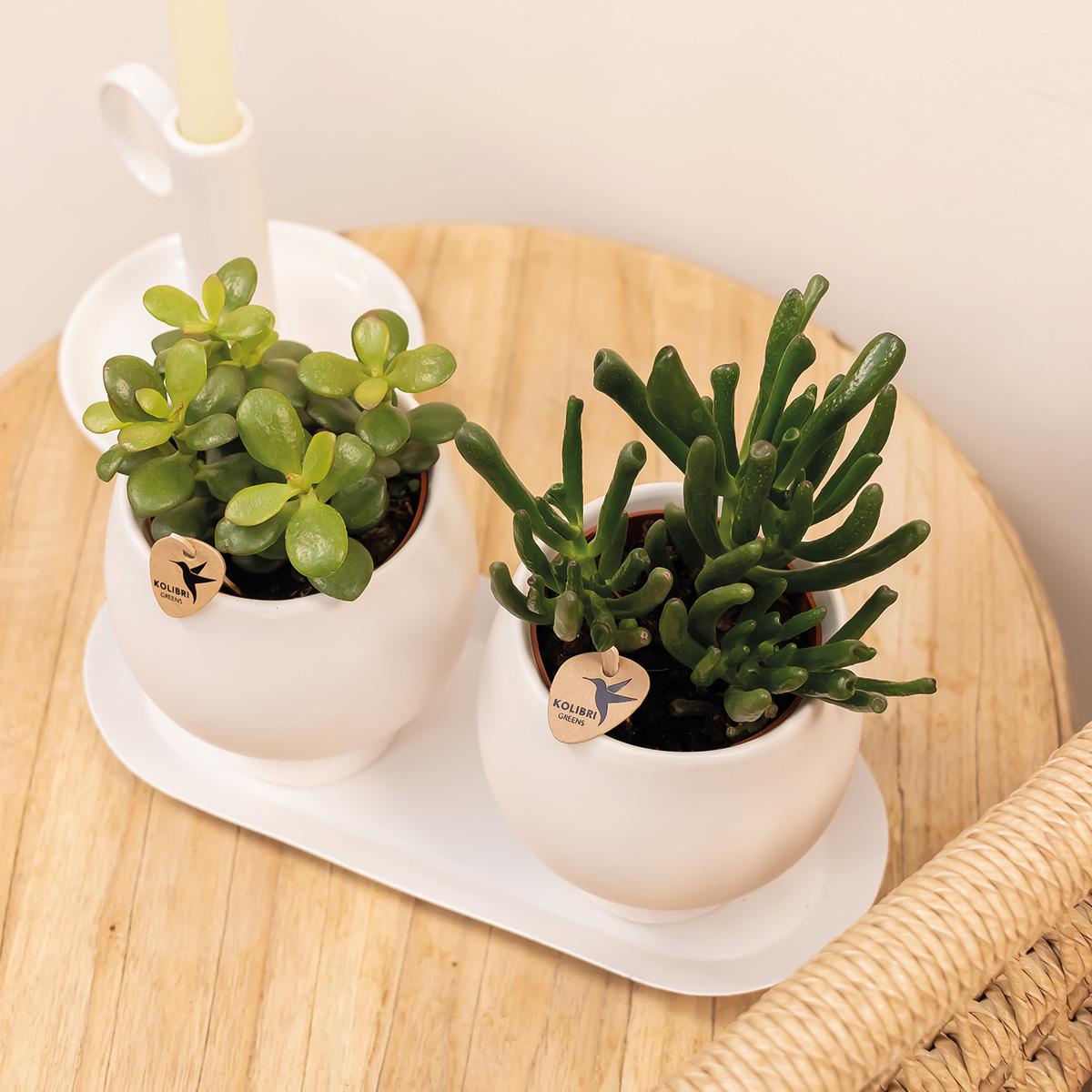 Kolibri Home | Teller oval - Ovales Tablett Ø30cm - White