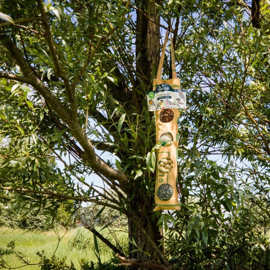 Vogel-Buffet | Rags Delikatesse Bigfeeder | 650 Gramm | geeignet für alle Freilandvögel