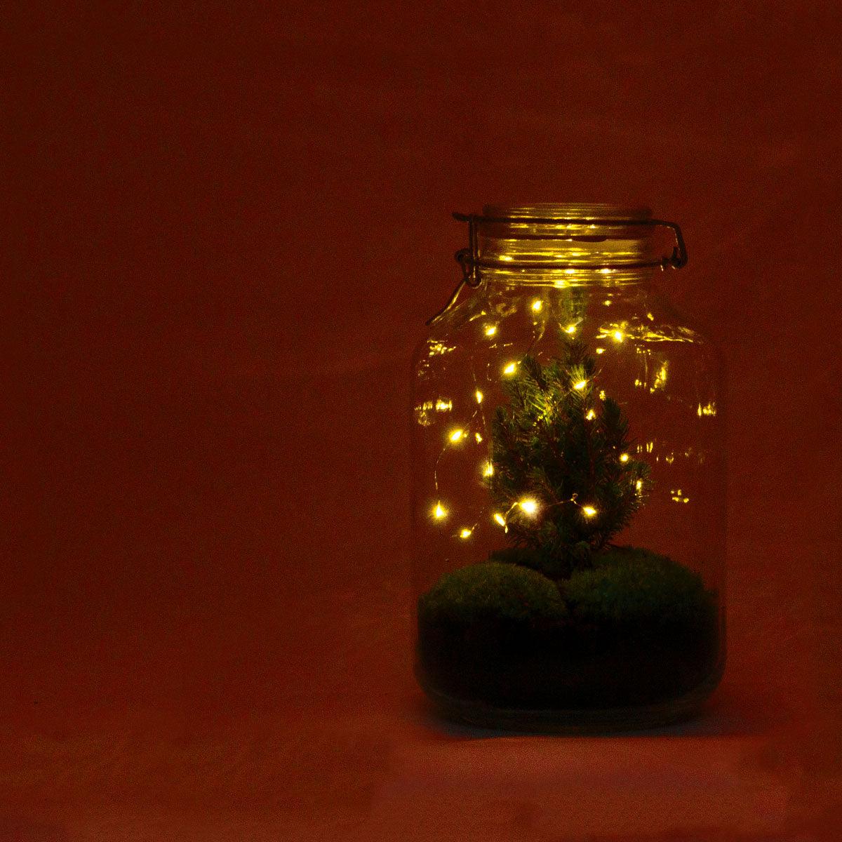 DIY Flaschengarten - Jar Christma - ↕ 28 cm