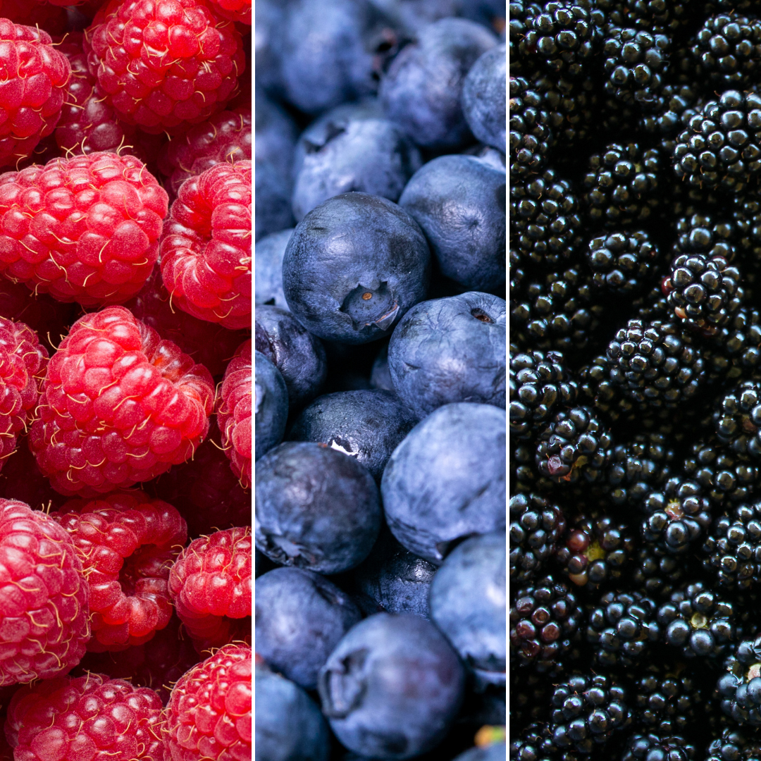 "Fruchtenparty" BIO Obstpflanzen set im mix von 3 verschiedene Sorten