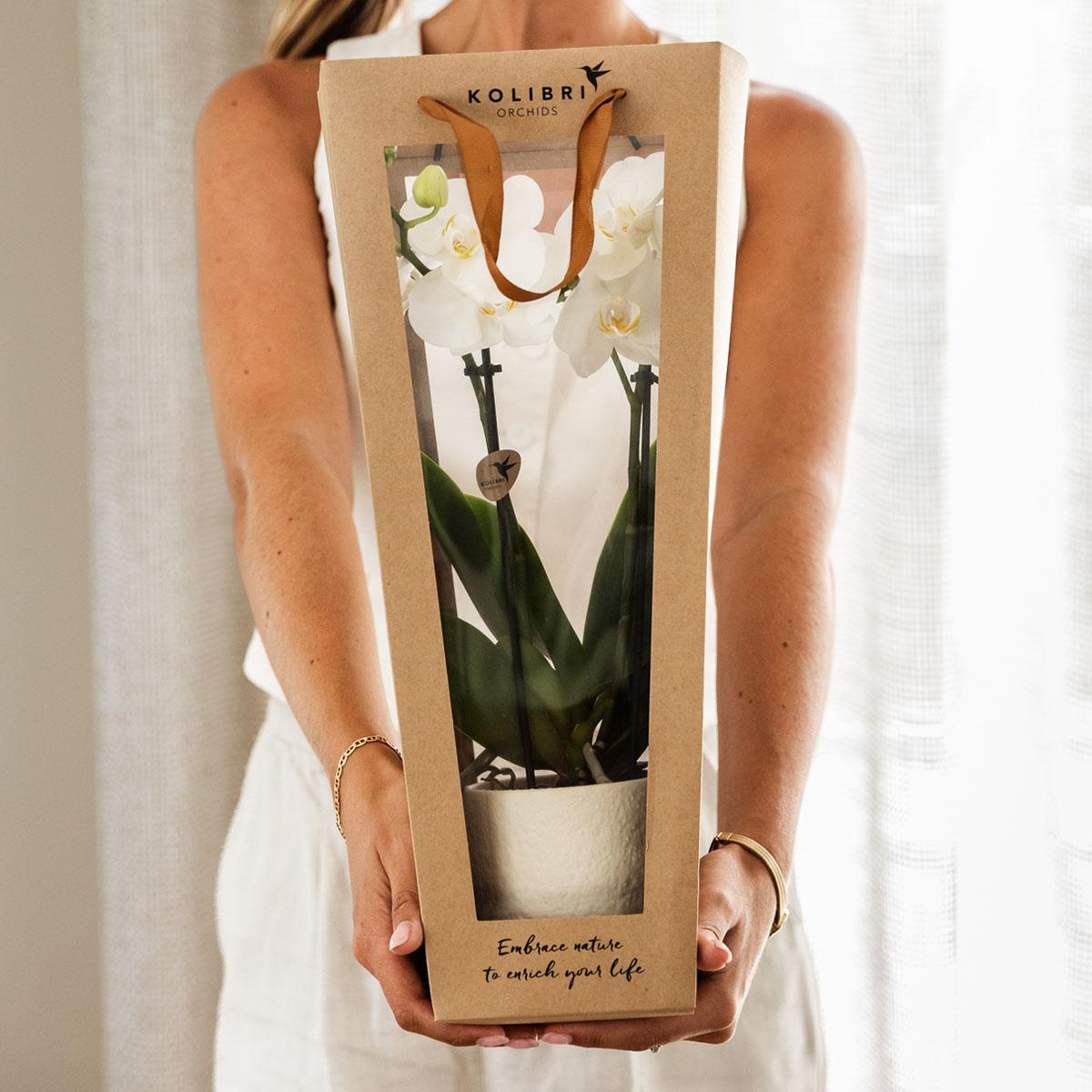 Kolibri Company | Geschenktasche für Orchidee mit dekorativem Topf 9cm