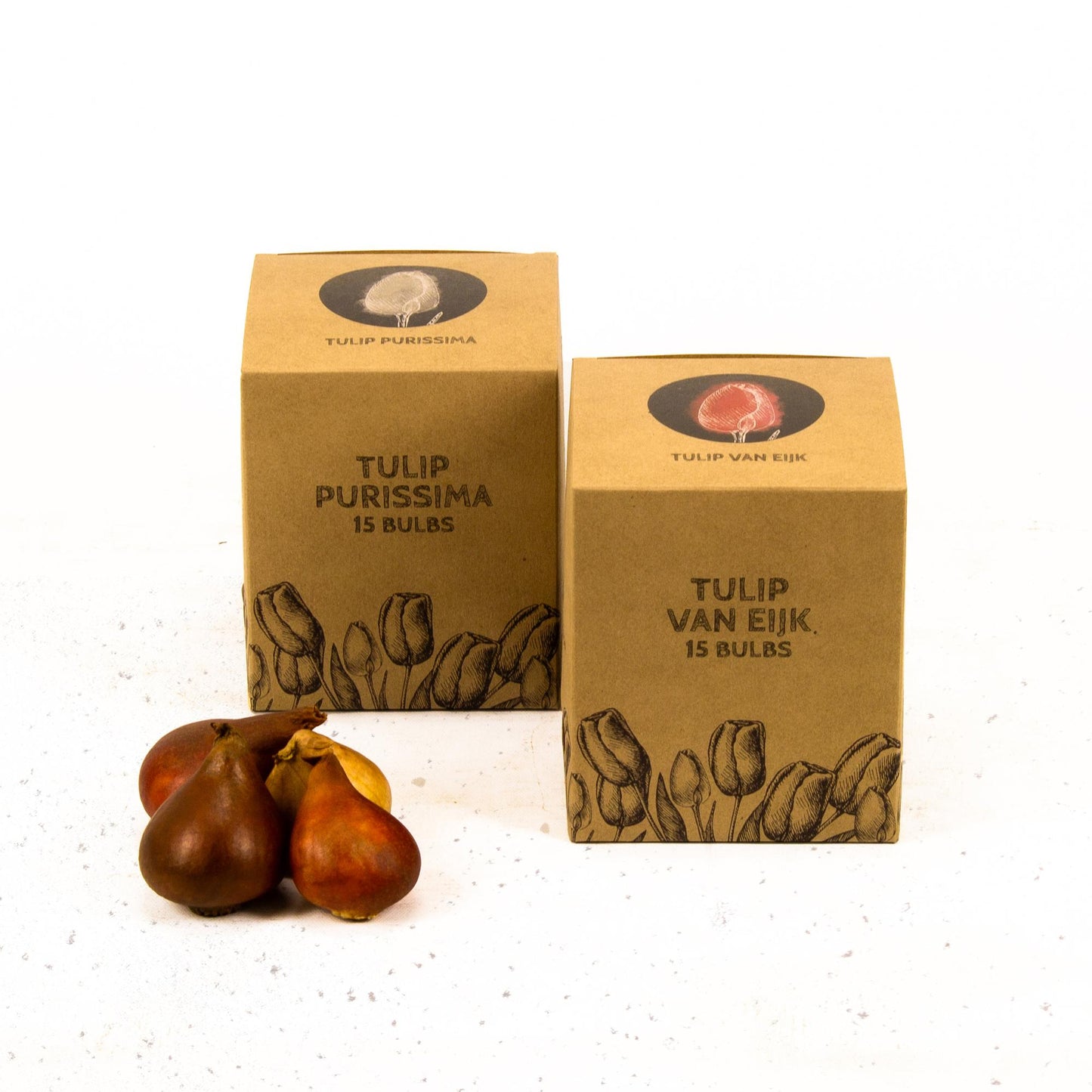 Flowerbulbs Amsterdam - Elly's Choice - 30 Blumenzwiebeln - Gr��e 12+