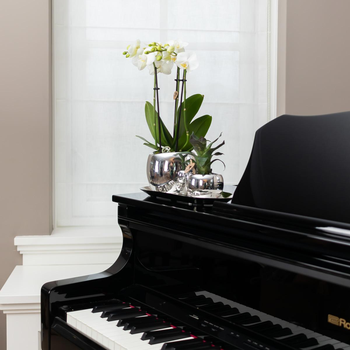 Kolibri Home | Teller oval - Ovales Tablett Ø30cm - Silver