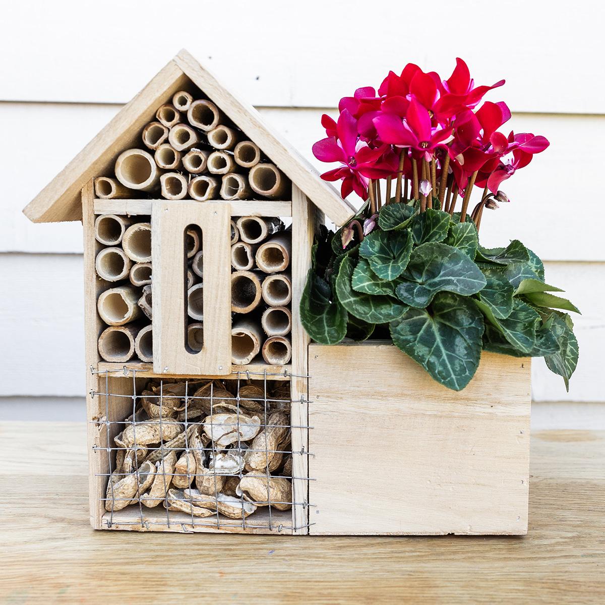 Kolibri Home | Insektenhotel Dekotopf