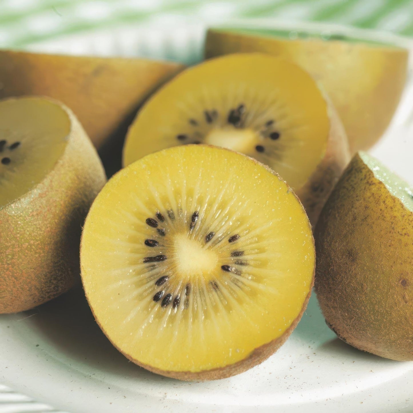 GreenboutiQ - Obstpflanze - Gelbe Kiwi - Actinidia deliciosa Golden Kiwi - Gelbe Frucht - 2 Pflanzen - Topf 15cm Höhe 50cm