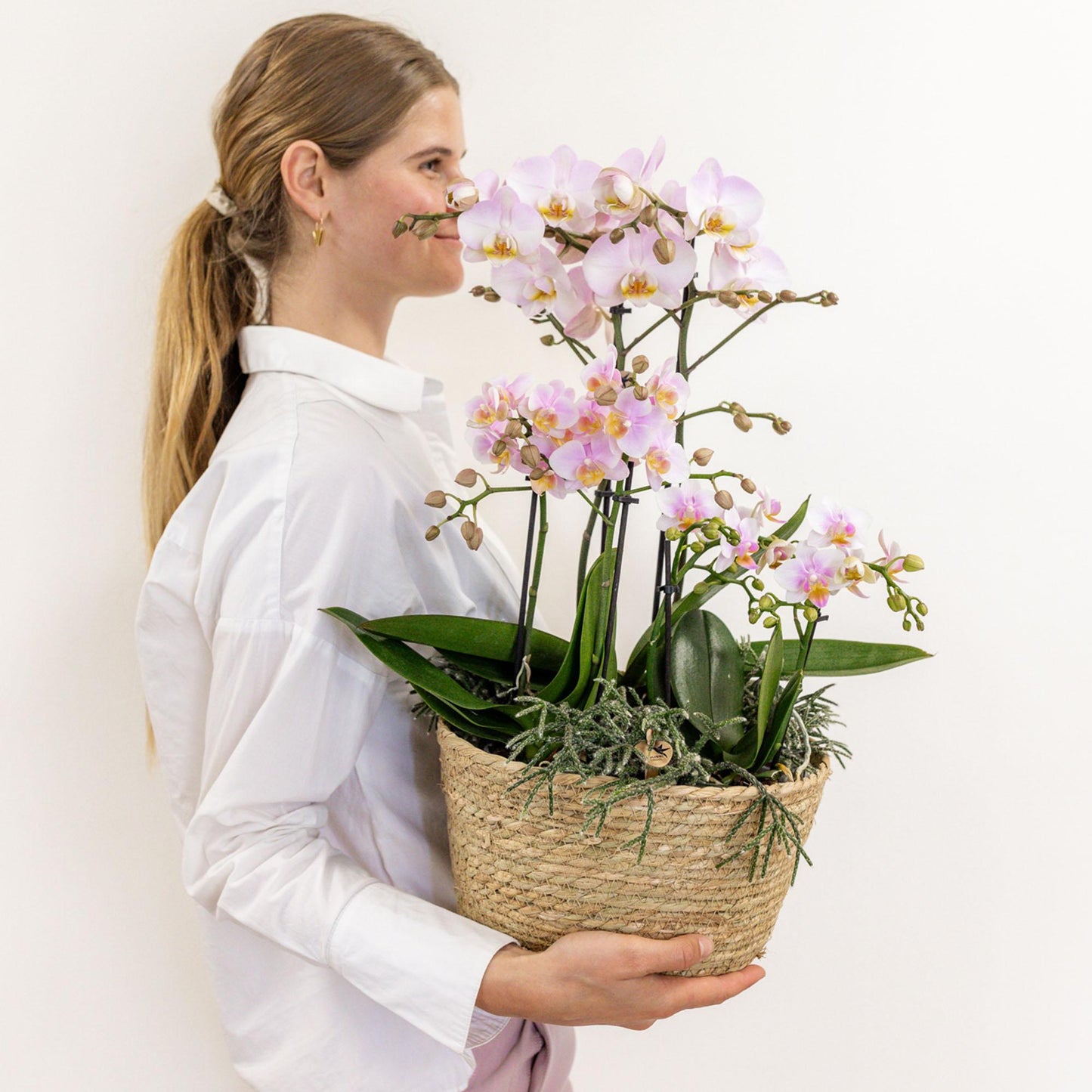 Kolibri Home - Einlage mit Wasserreservoir für Orchideenschale - Bewässerungssystem für Orchideen - Inlay 1x12 + 2x9 - Field Bouquet + 3x watergeeflonten