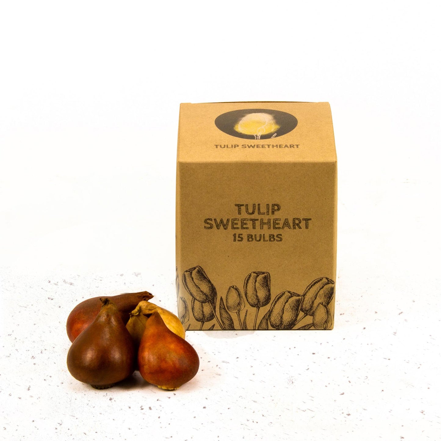 Flowerbulbs Amsterdam - Sweetheart - 15 Blumenzwiebeln - Gr��e 12+