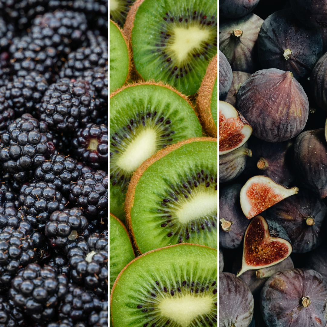 "Sübe Ernte Trio" BIO Obstpflanzen set im mix von 3 verschiedene Sorten