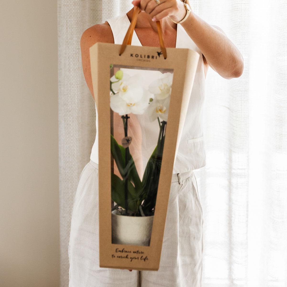Kolibri Company | Geschenktasche für Orchidee mit dekorativem Topf 9cm