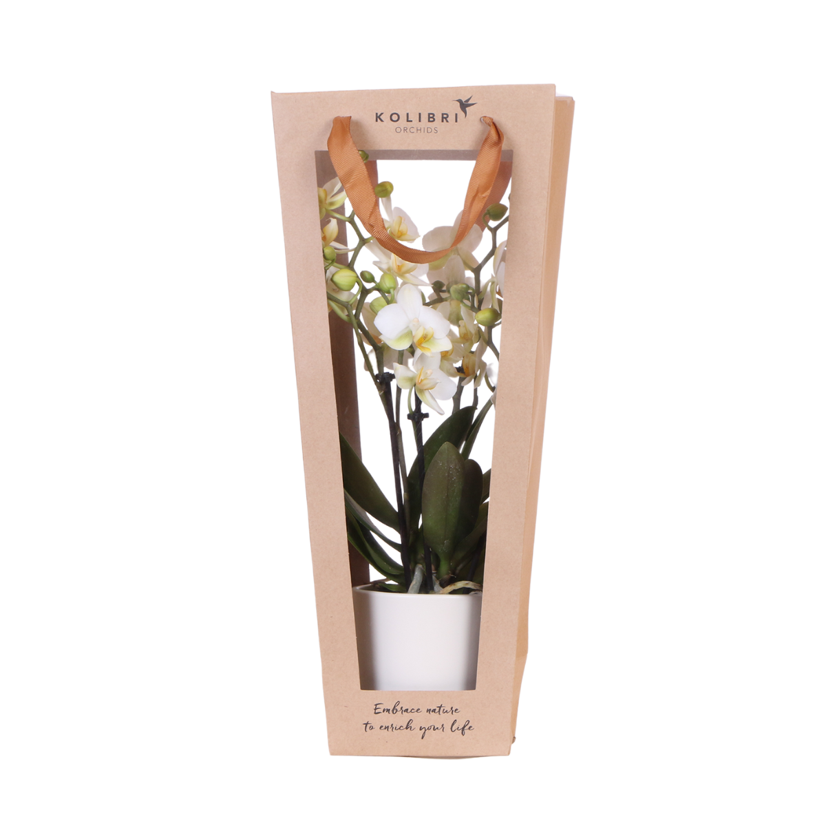 Kolibri Company | Geschenktasche für Orchidee mit dekorativem Topf 9cm