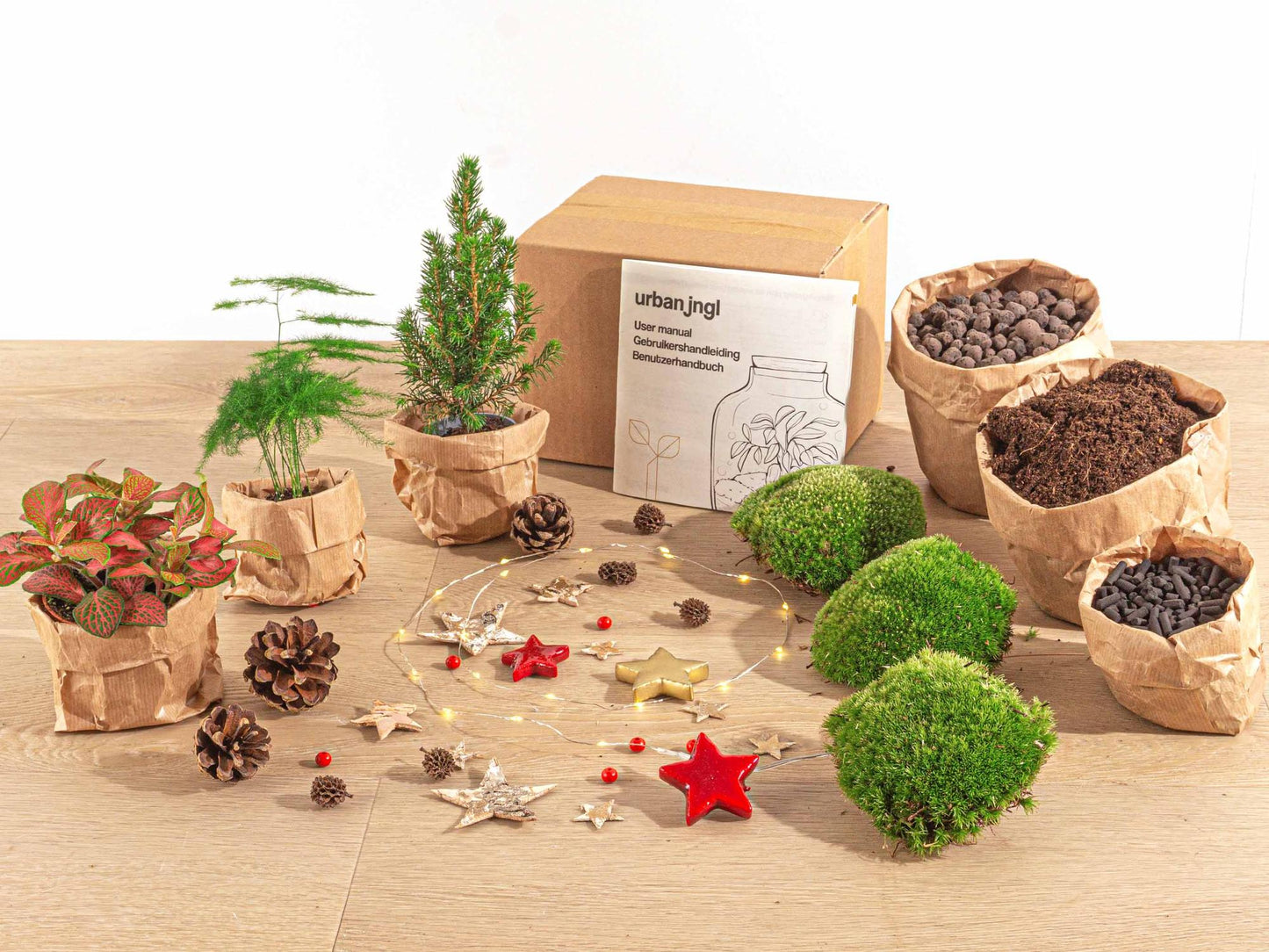 Planten terrarium pakket - Mini-kerstboom - 3 planten - Navulling & Startpakket - DIY Christmas