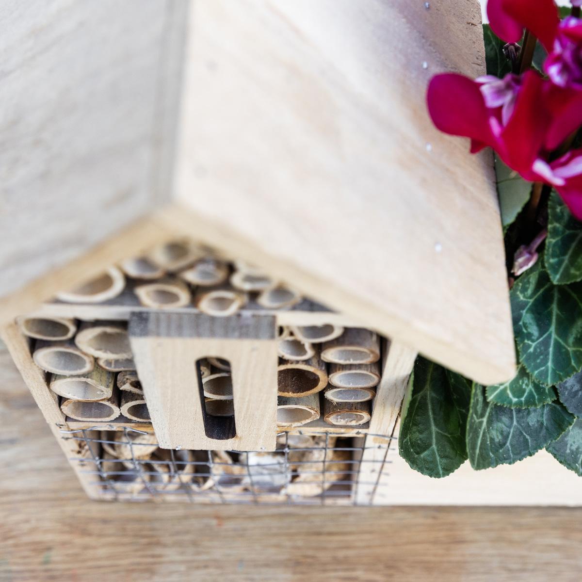 Kolibri Home | Insektenhotel Dekotopf