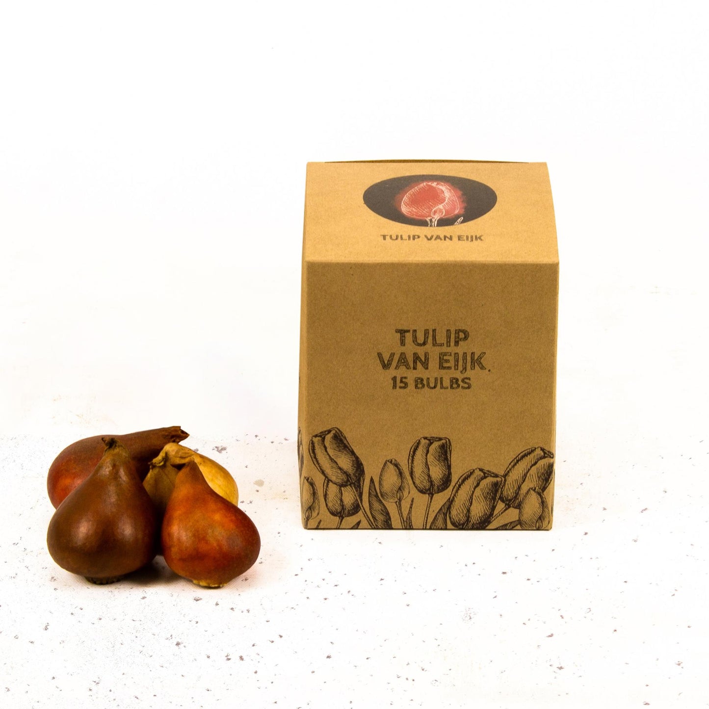 Flowerbulbs Amsterdam - Van Eijk - 15 Blumenzwiebeln - Gr��e 12+