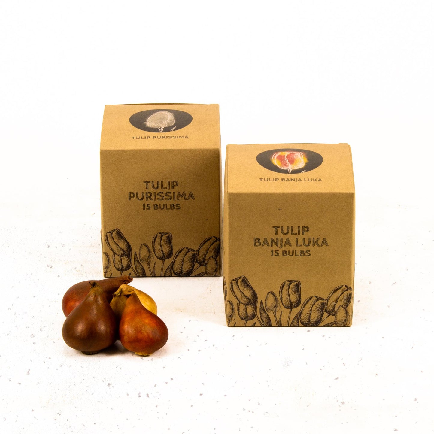 Flowerbulbs Amsterdam - Nadine's Happiness - 30 Blumenzwiebeln - Gr��e 12+