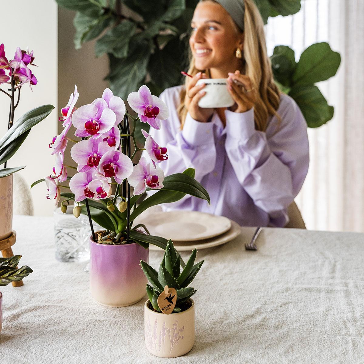 Kolibri Home | Gradience Übertopf - Pink - Ø9cm