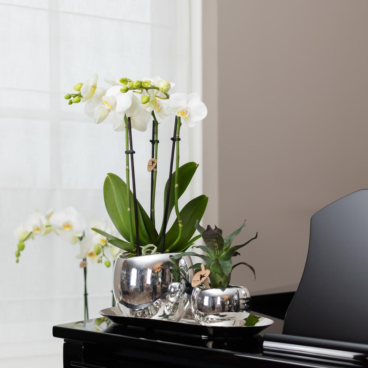 Kolibri Home | Teller oval - Ovales Tablett Ø30cm - Silver