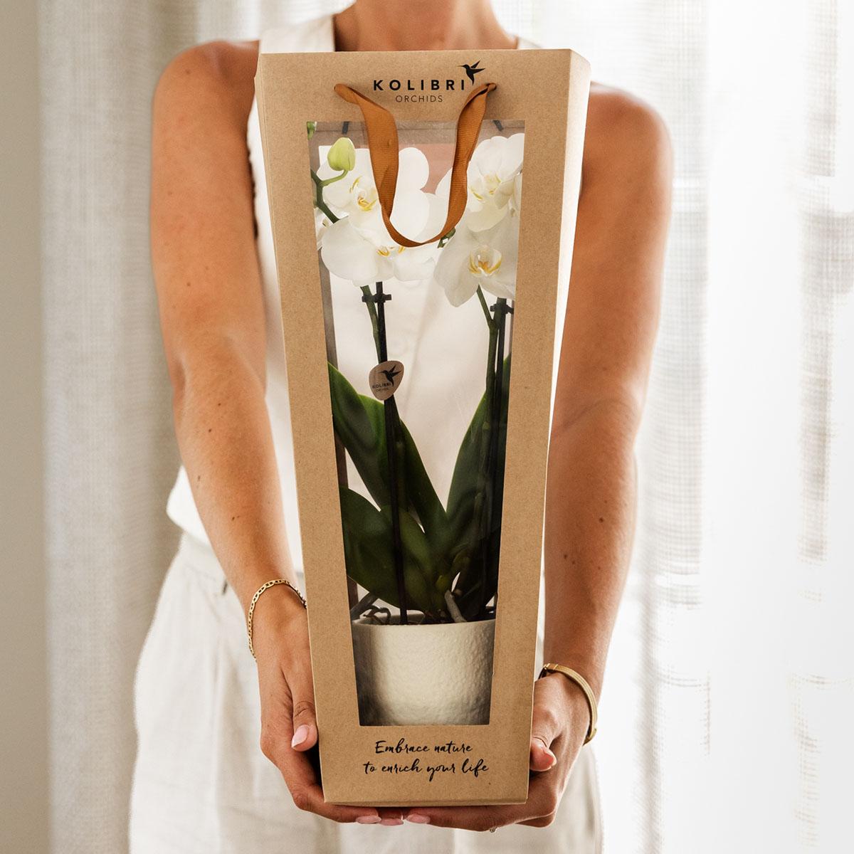 Kolibri Company | Geschenktasche für Orchidee mit dekorativem Topf 9cm