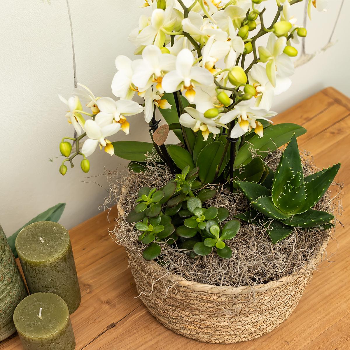 Kolibri Home | Reed Basket Blumenschale - dekorative Schale aus Korbgeflecht - Durchmesser Ø30cm