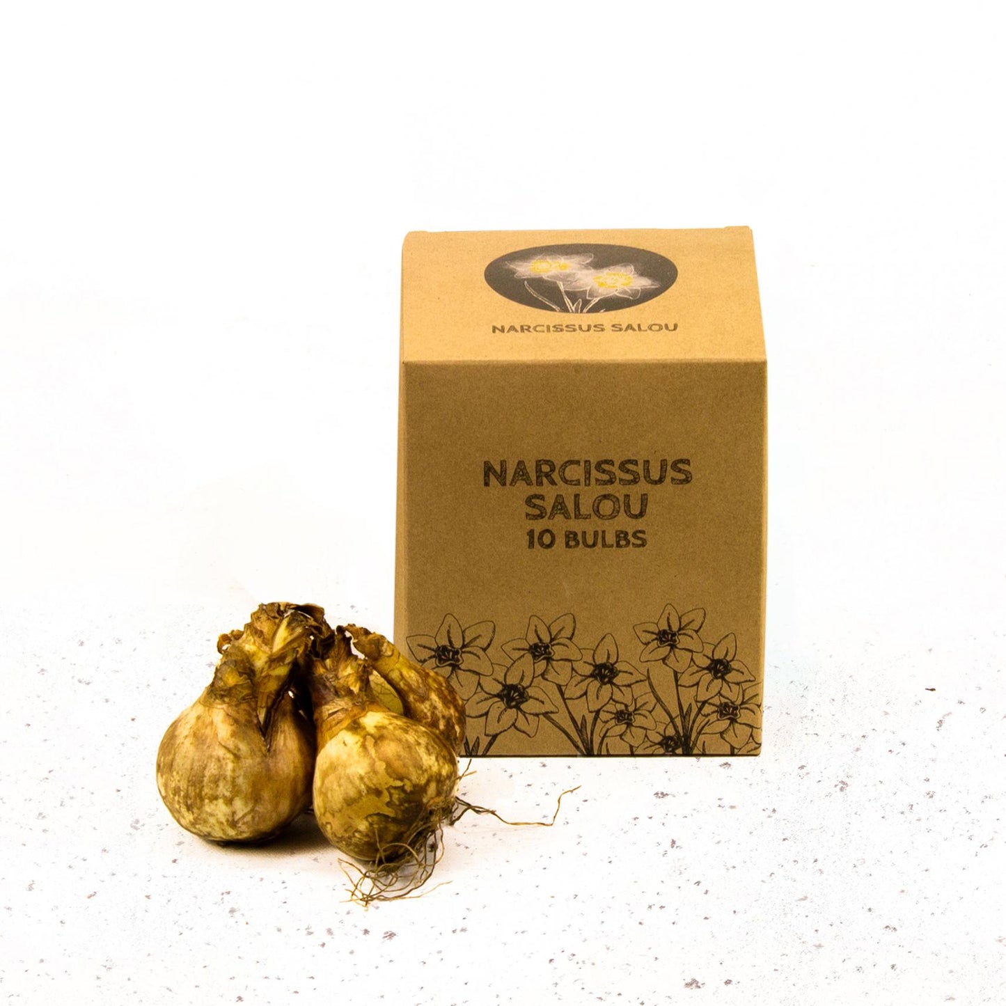 Flowerbulbs Amsterdam - Salou - 10 Blumenzwiebeln - Gr��e 12/14