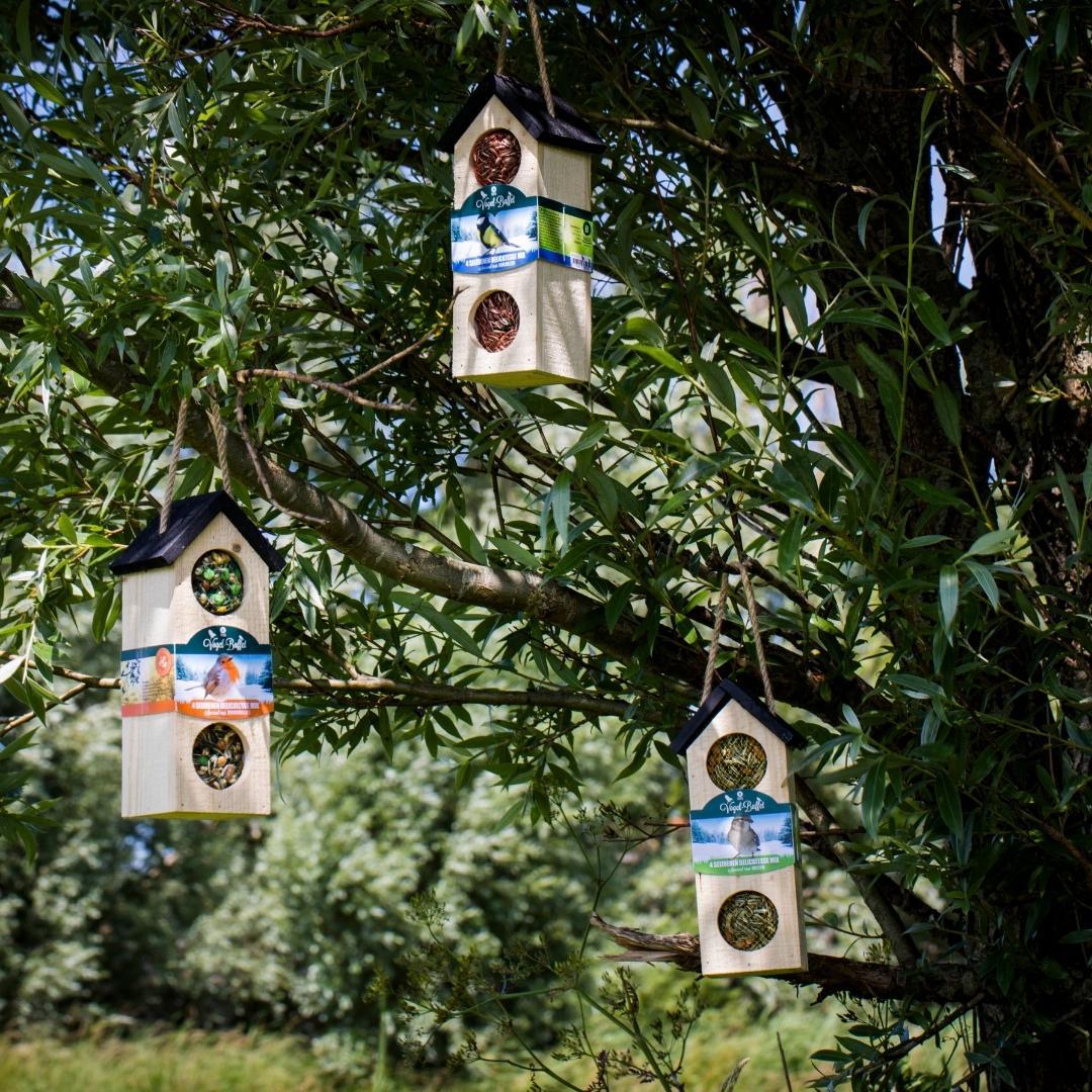 Vogel-Buffet | Chalet Futterhaus Vogelhaus | 500 Gramm - Mussen