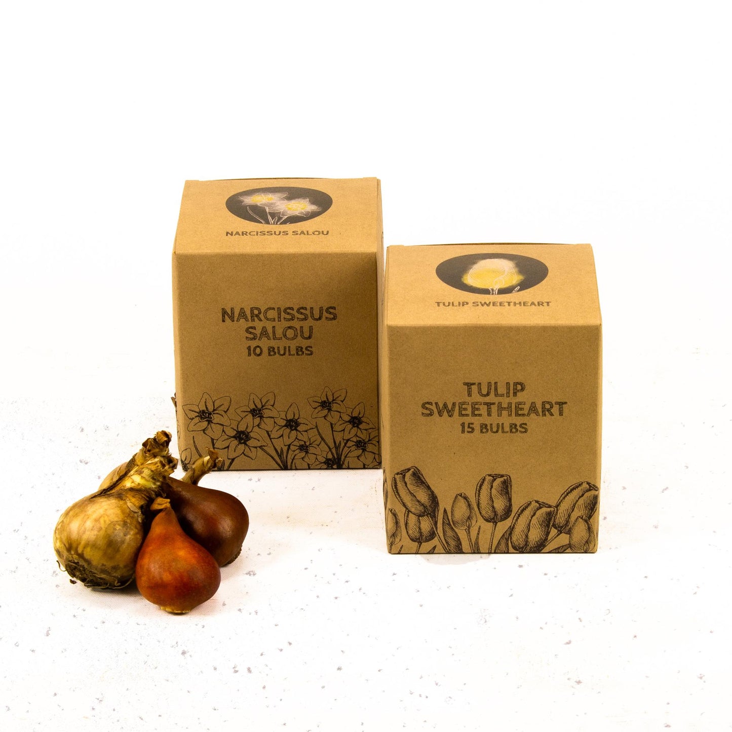 Flowerbulbs Amsterdam - Jacques Darlings - 25 Blumenzwiebeln - Gr��e 12+