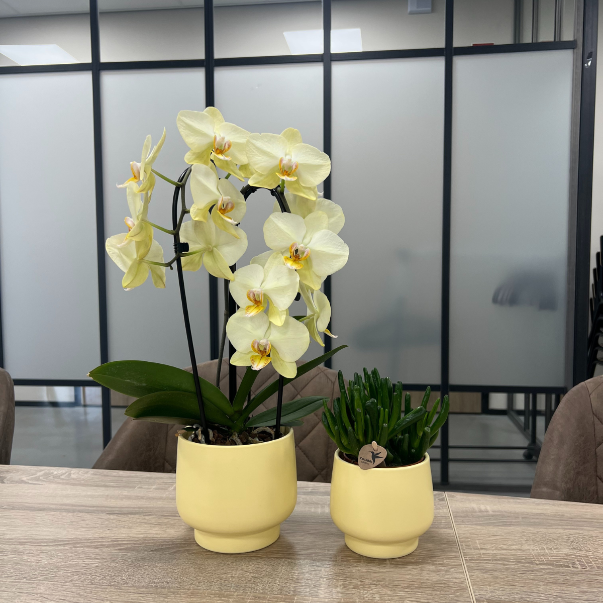 Kolibri Home | Scandic Blumentopf  - Yellow - ⌀12cm