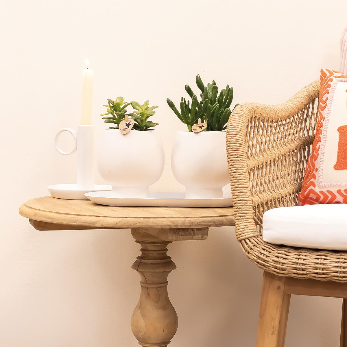 Kolibri Home | Teller oval - Ovales Tablett Ø30cm - White