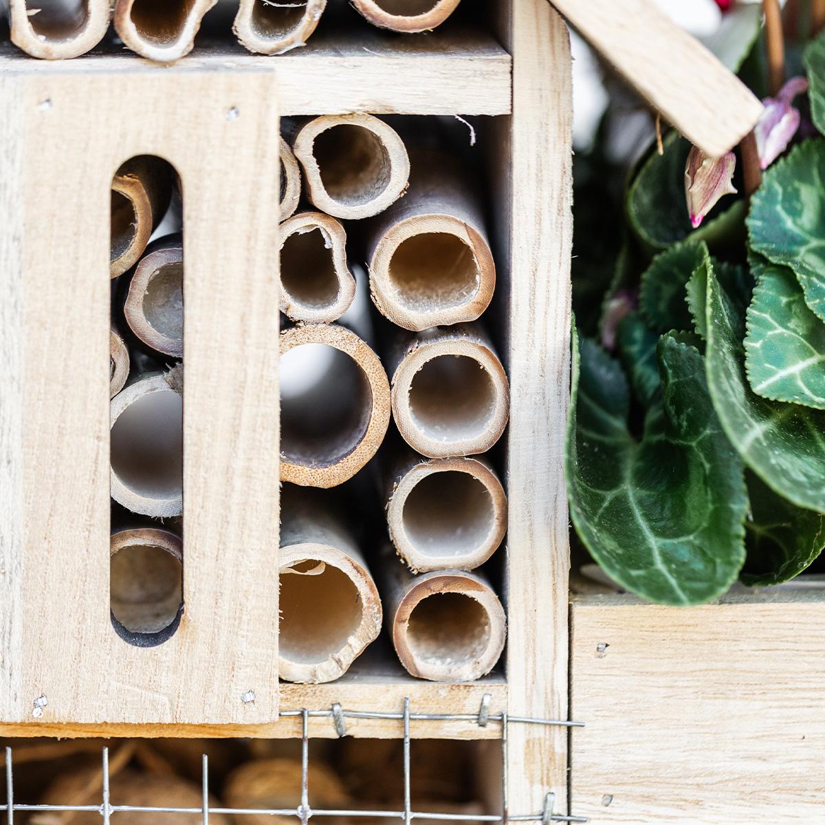 Kolibri Home | Insektenhotel Dekotopf