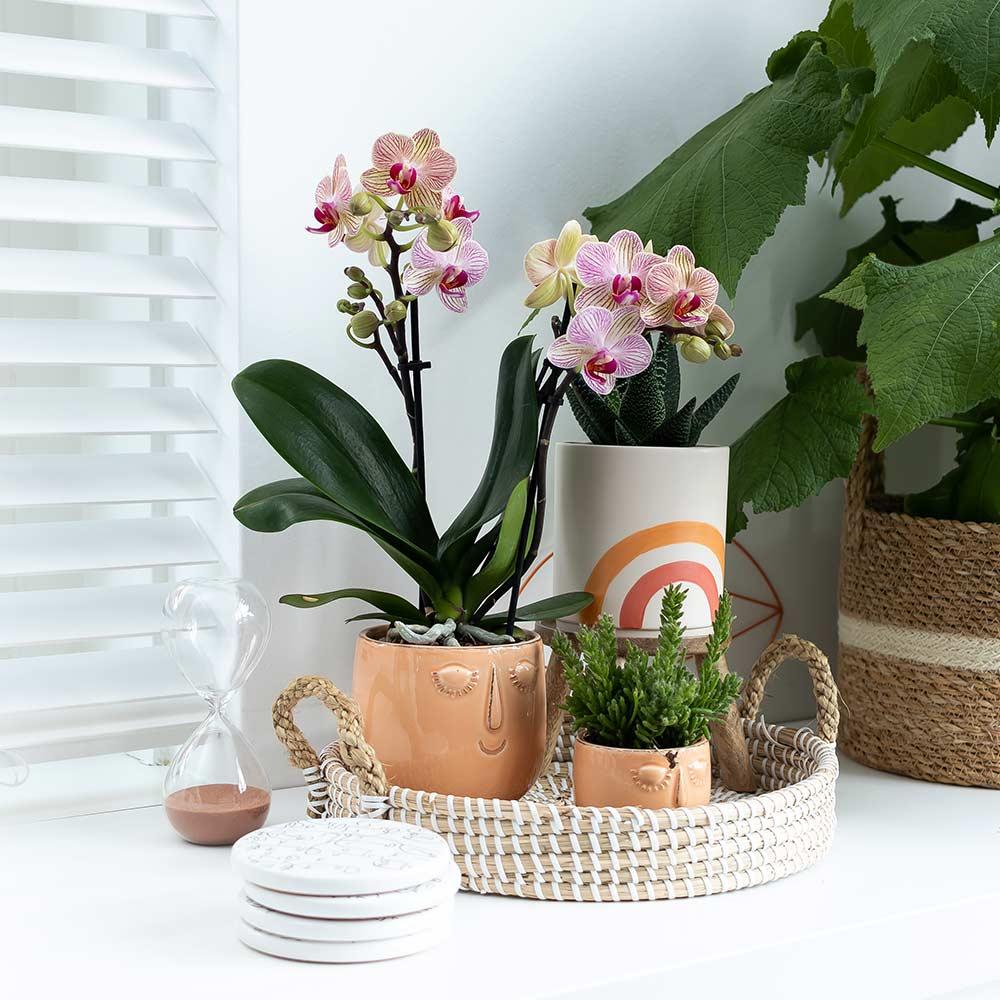Kolibri Home | Dekorative Tablett - Weißes geflochtenes Tablett Ø30cm