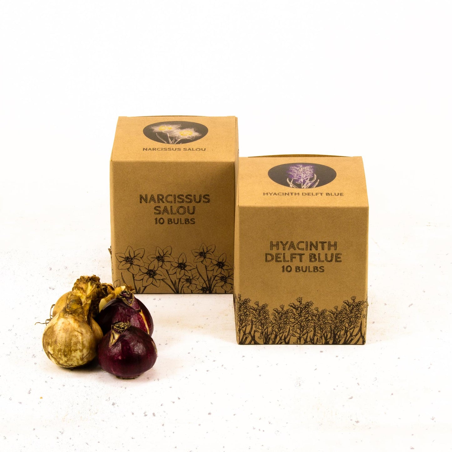 Flowerbulbs Amsterdam - Rob's Favorites - 20 Blumenzwiebeln - Gr��e 12/14