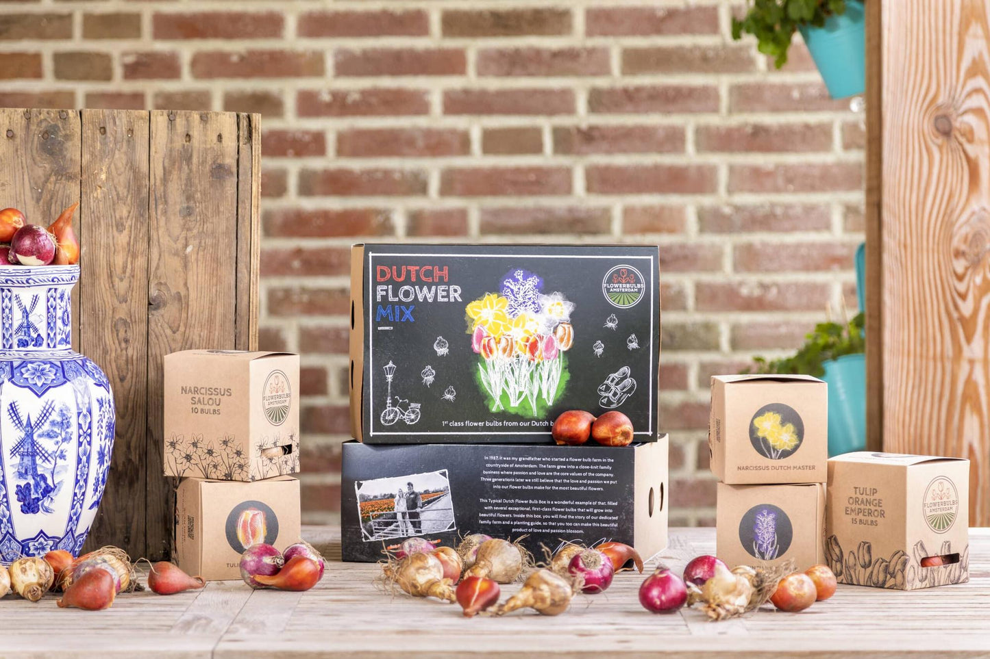 Flowerbulbs Amsterdam - Dutch Flower Mix - Luxusbox gro�, 75 Blumenzwiebeln f�r 2 m� Blumenpracht - Gr��e 12+