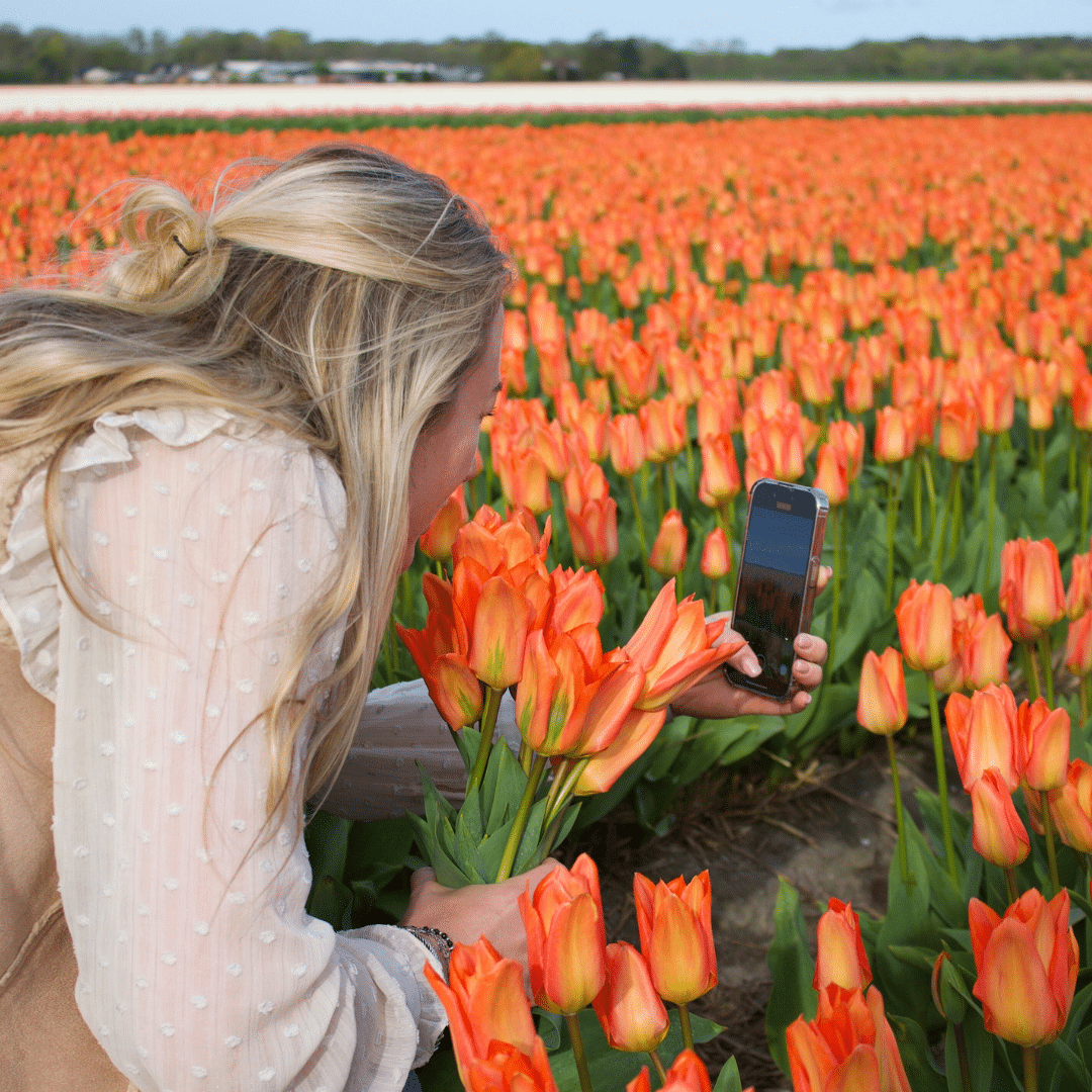 Flowerbulbs Amsterdam - Orange Emperor - 15 Blumenzwiebeln - Gr��e 12+
