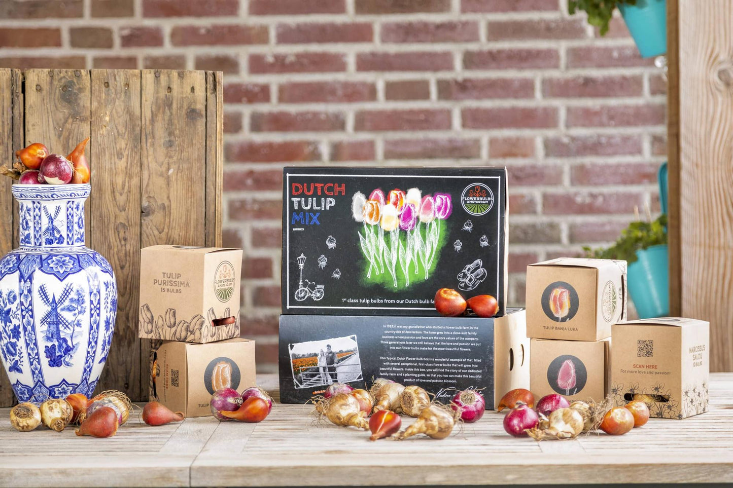 Flowerbulbs Amsterdam - Dutch Tulip Mix - Luxusbox gro�, 90 Blumenzwiebeln f�r 2,5 m� Blumenpracht - Gr��e 12+