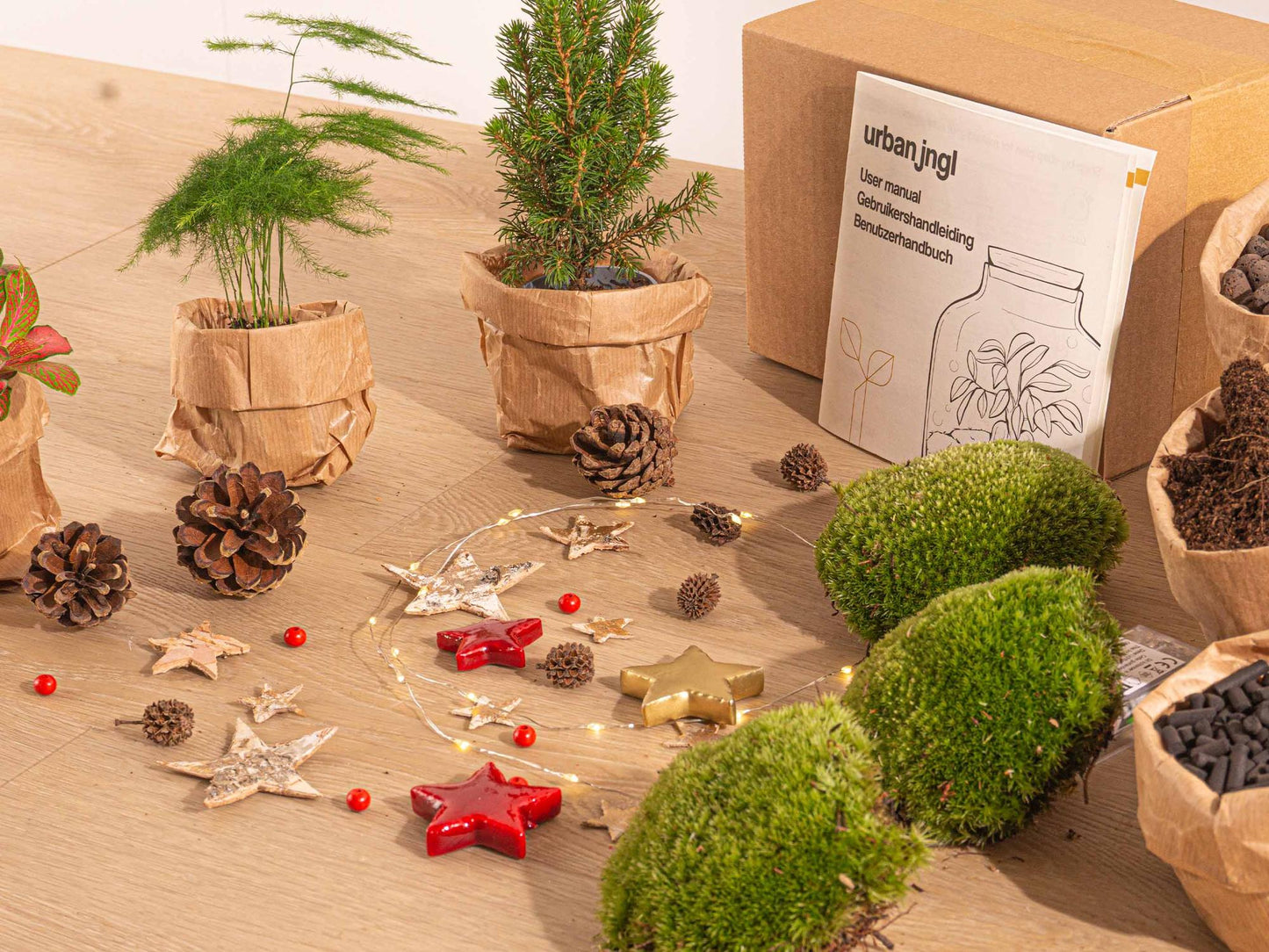 Planten terrarium pakket - Mini-kerstboom - 3 planten - Navulling & Startpakket - DIY Christmas