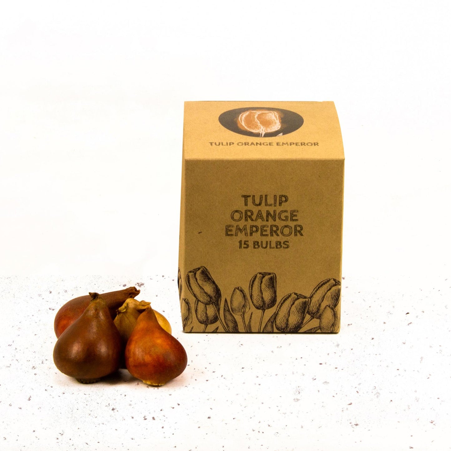 Flowerbulbs Amsterdam - Orange Emperor - 15 Blumenzwiebeln - Gr��e 12+