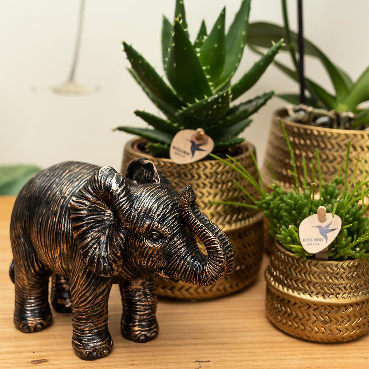 Kolibri Home | Groove Blumentopf - Goldener Keramik-Topf - Topfgröße - Ø12cm