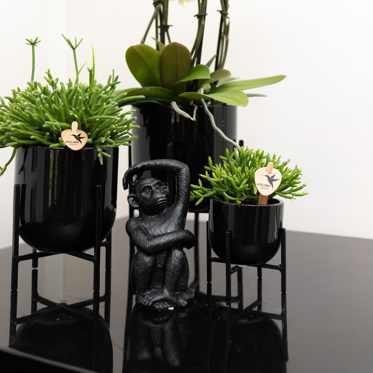 Kolibri Home | Ornament - Decoration sculpture Sitting Monkey - Black