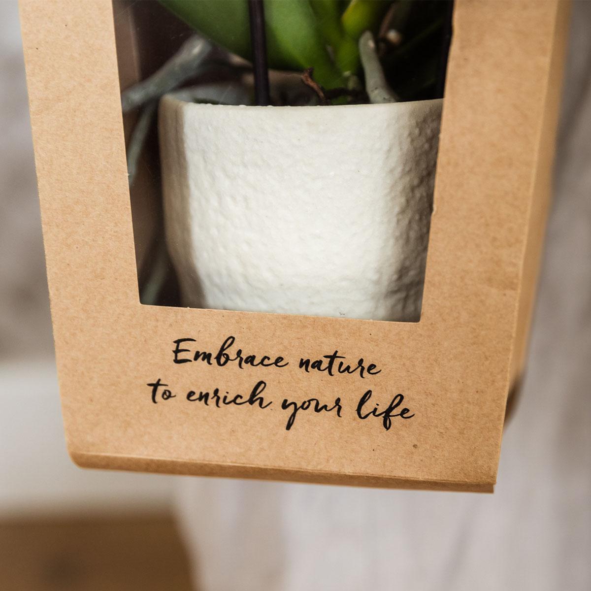 Kolibri Company | Geschenktasche für Orchidee mit dekorativem Topf 9cm
