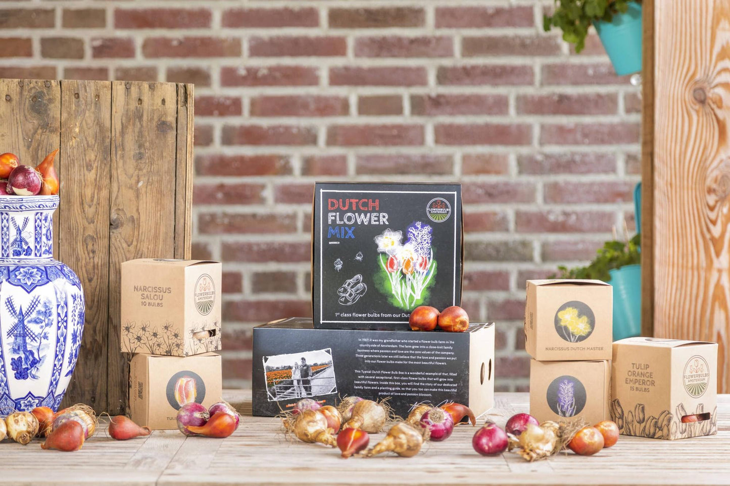 Flowerbulbs Amsterdam - Dutch Flower Mix - Luxusbox mittel, 40 Blumenzwiebeln f�r 1 m� Blumenpracht - Gr��e 12+