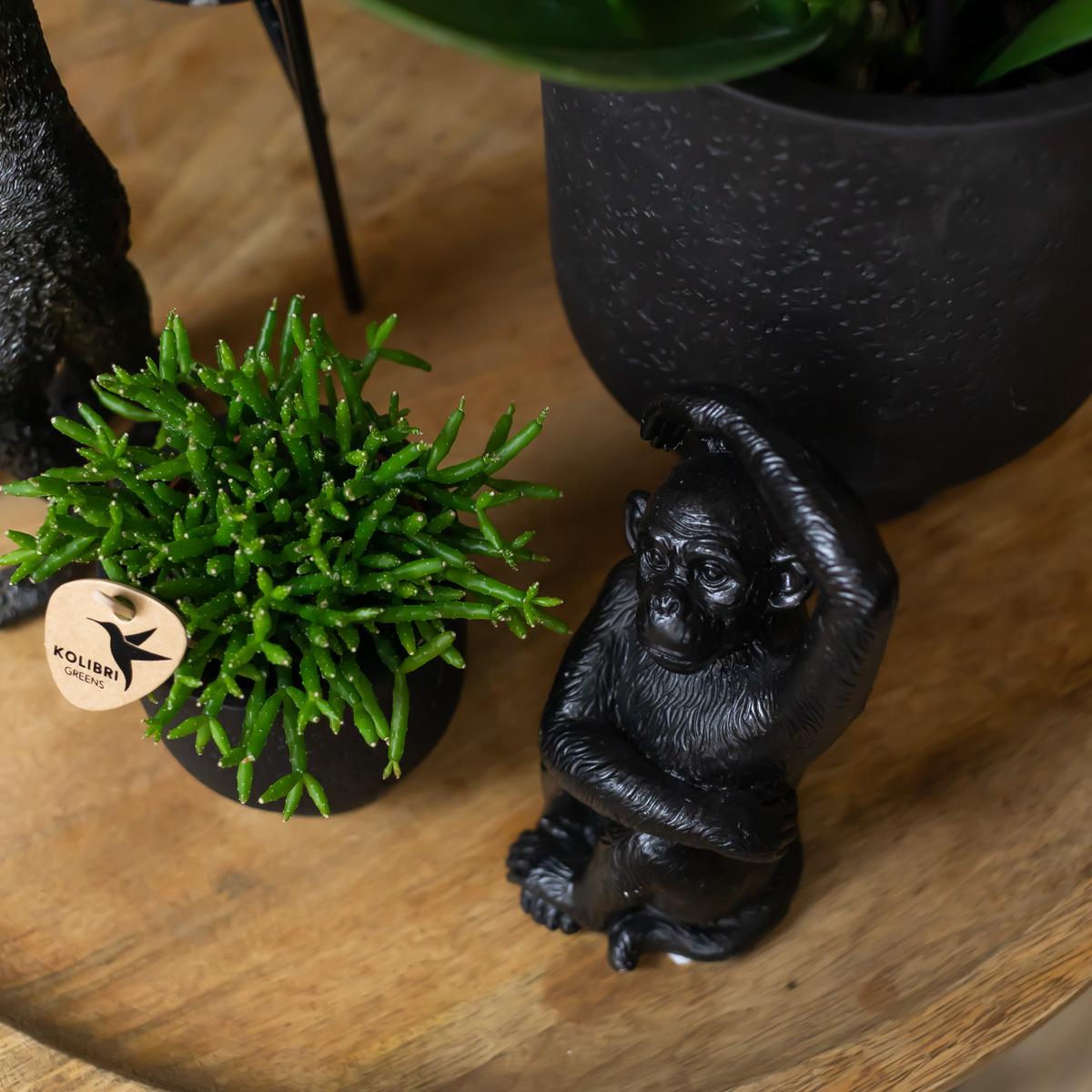 Kolibri Home | Ornament - Decoration sculpture Sitting Monkey - Black