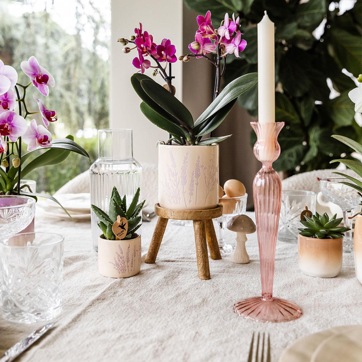 Kolibri Home | Floraler Blumentopf - Lavendel - 6cm