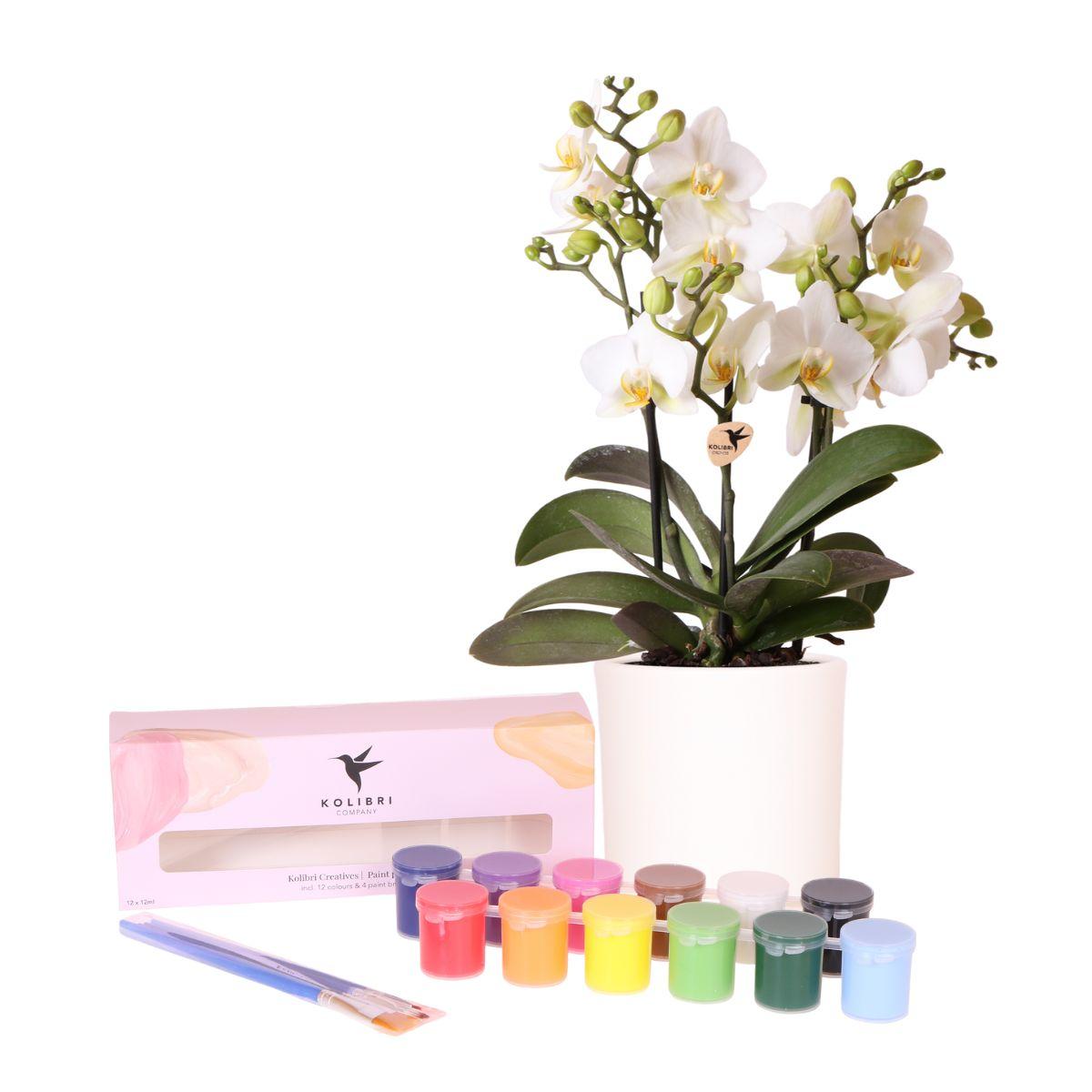Kolibri Creatives | Malset zum Bemalen von 4 Blumentöpfen + Orchideen | Für 4 Personen | Anfänger-Künstler