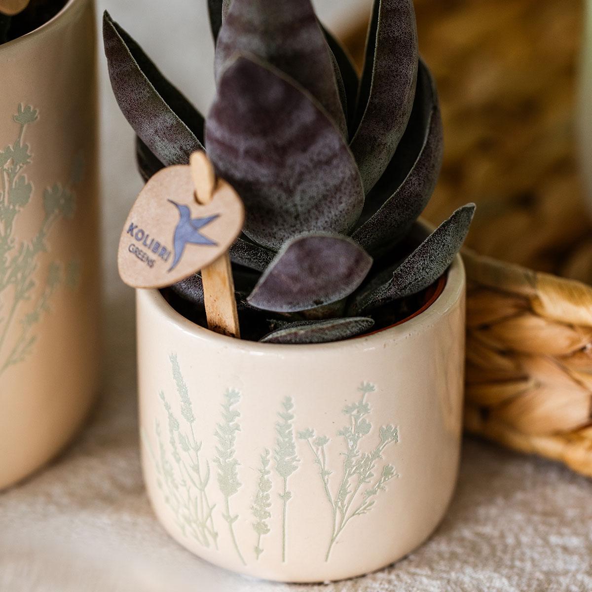Kolibri Home | Floraler Blumentopf - Light Blue - 6cm