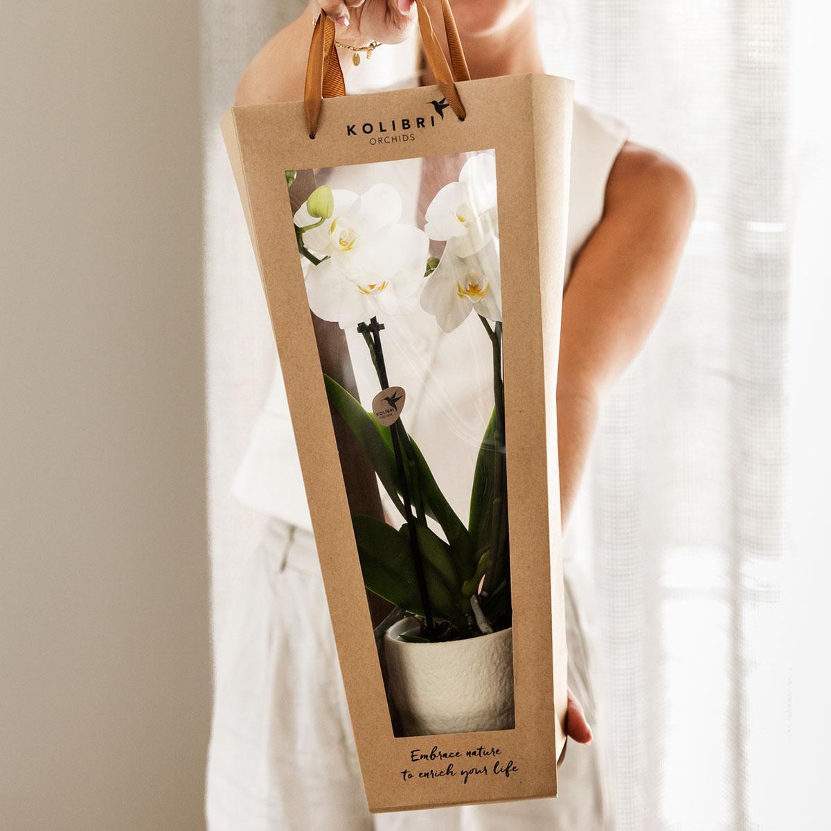 Kolibri Company | Geschenktasche für Orchidee mit dekorativem Topf 9cm
