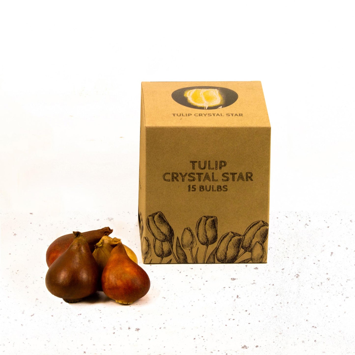 Flowerbulbs Amsterdam - Crystal Star - 15 Blumenzwiebeln - Gr��e 12+