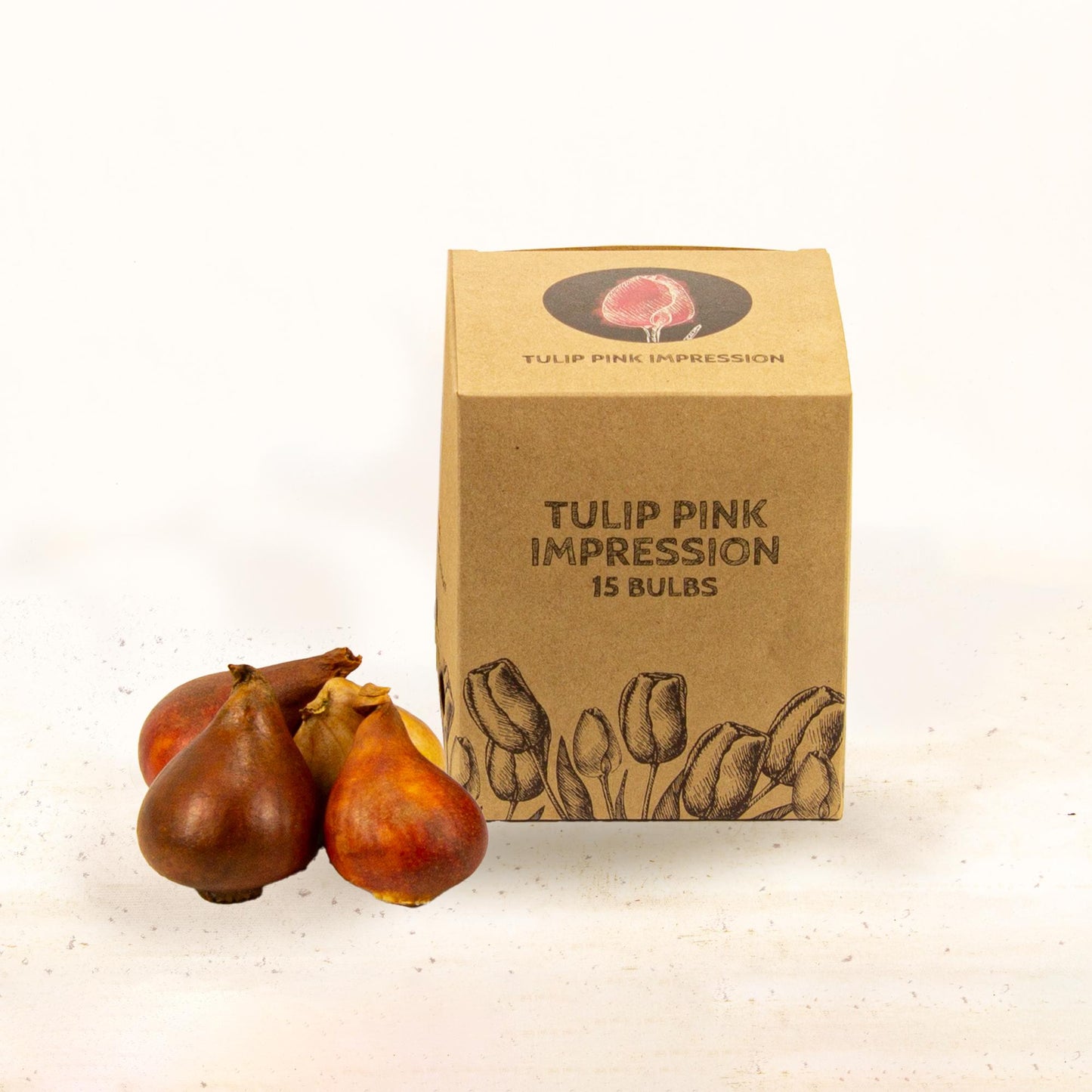 Flowerbulbs Amsterdam - Pink Impression - 15 Blumenzwiebeln - Gr��e 12+