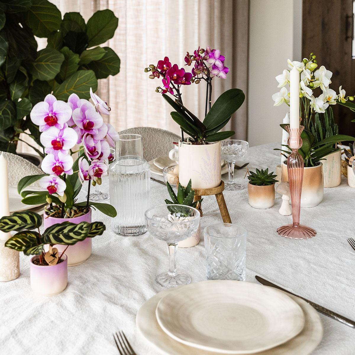 Kolibri Home | Gradience Übertopf - Pink - Ø9cm