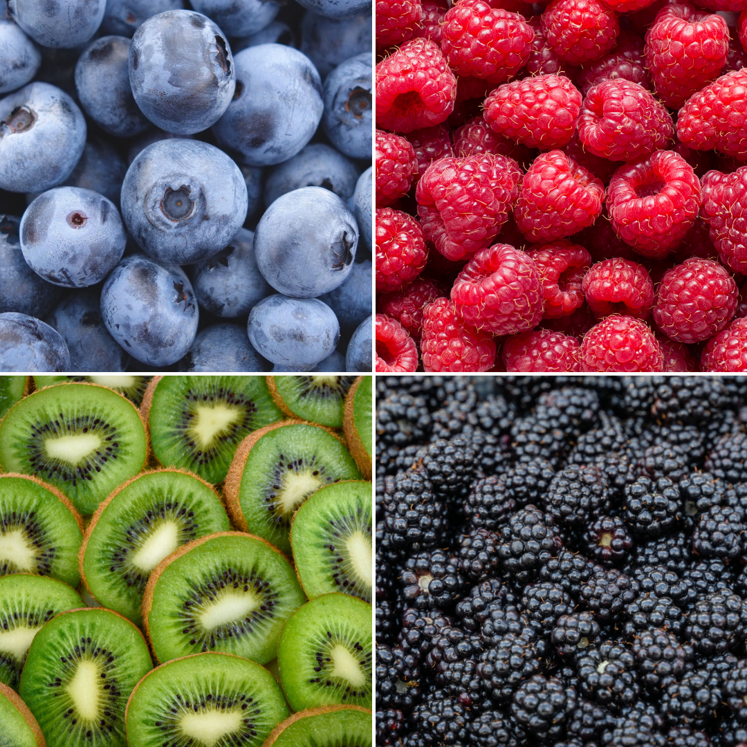 "Sommerfruchten" BIO Obstpflanzen set im mix von 4 verschiedene Sorten